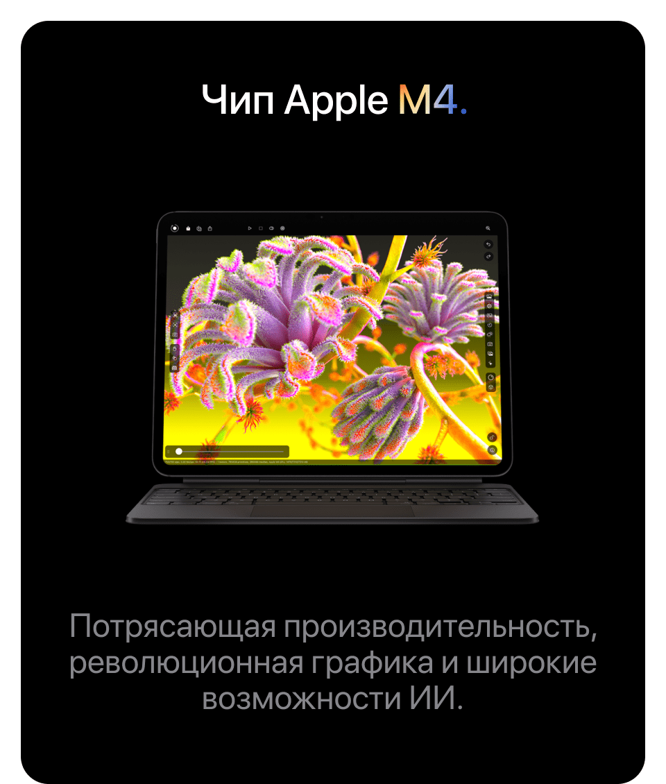 Apple iPad Pro M4 (2024) 13" дюймов, wi-fi+cellular, 512 Гб, Чёрный космос (Без RuStore) - 10