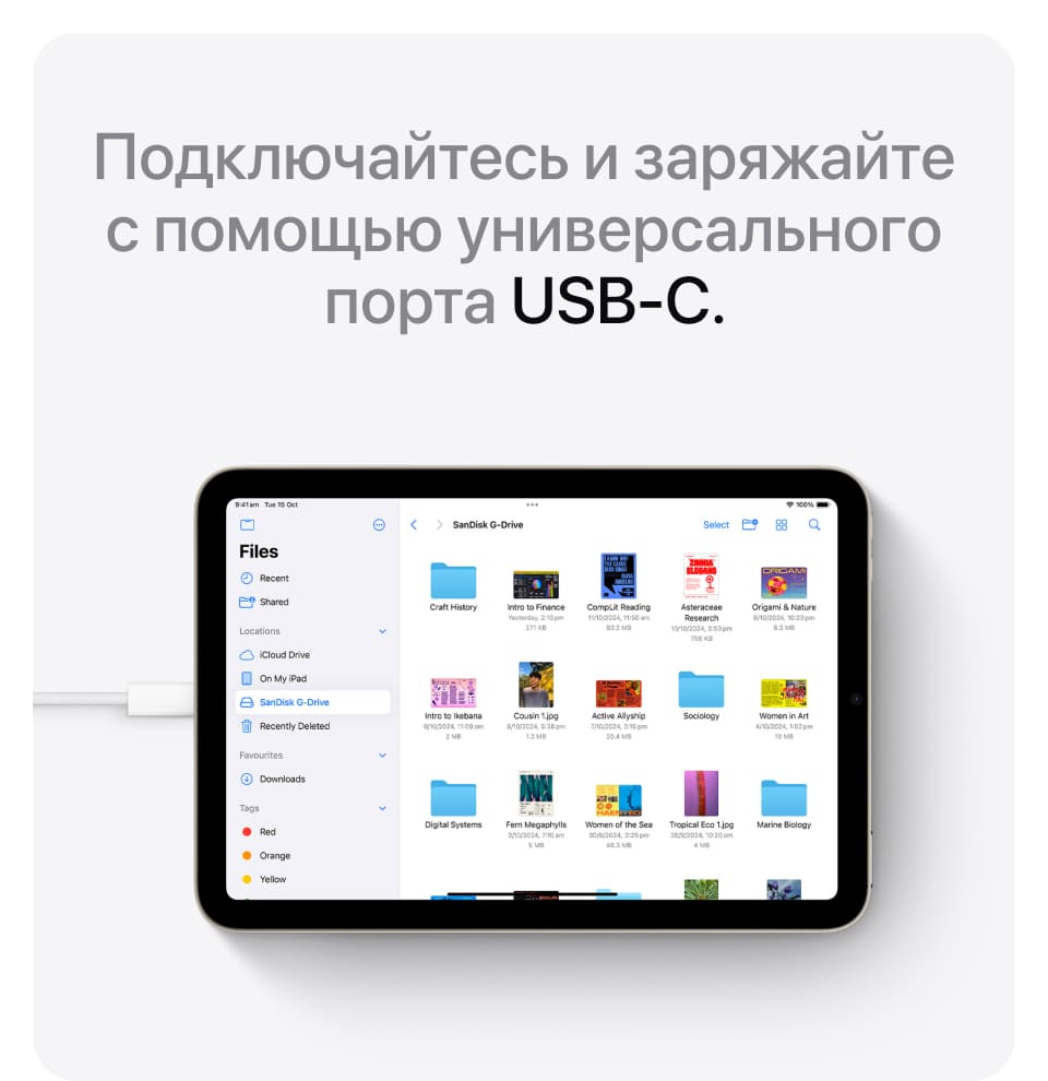 Apple iPad mini A17 Pro (2024), wi-fi, 128 Гб, Голубой (Без RuStore) - 19