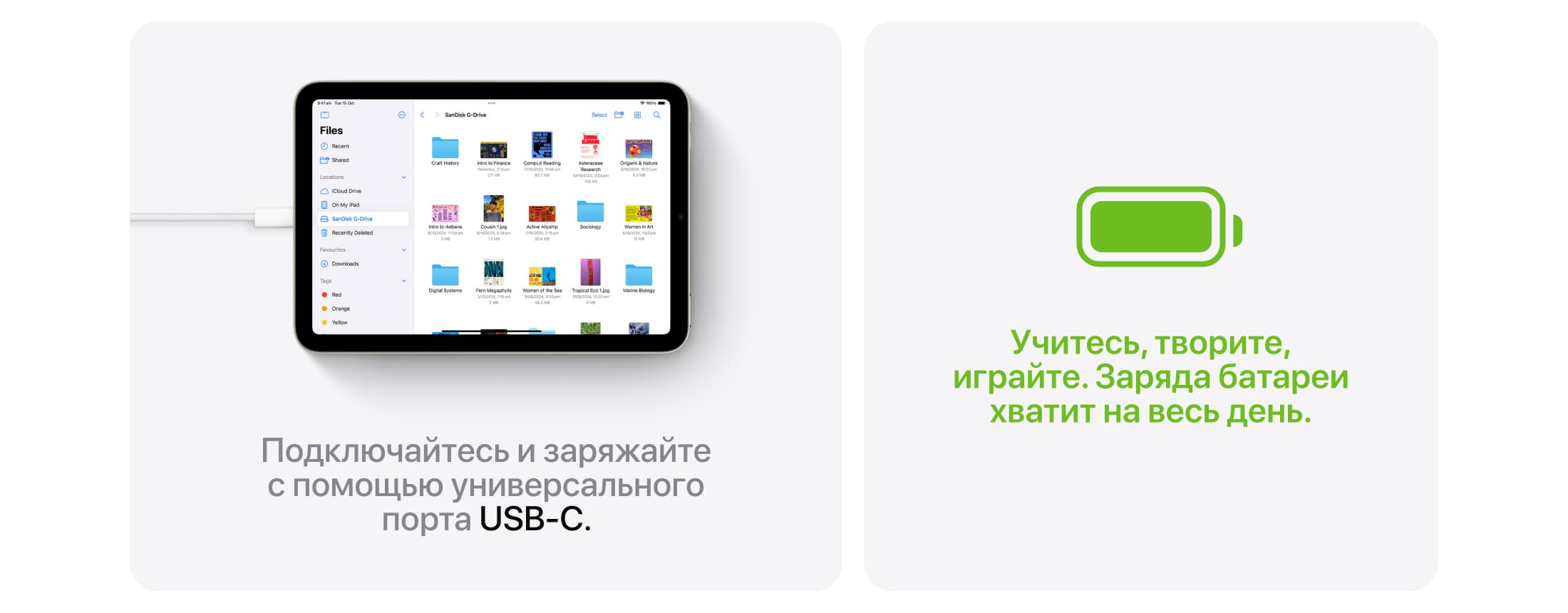 Apple iPad mini A17 Pro (2024), wi-fi, 128 Гб, Голубой (Без RuStore) - 8