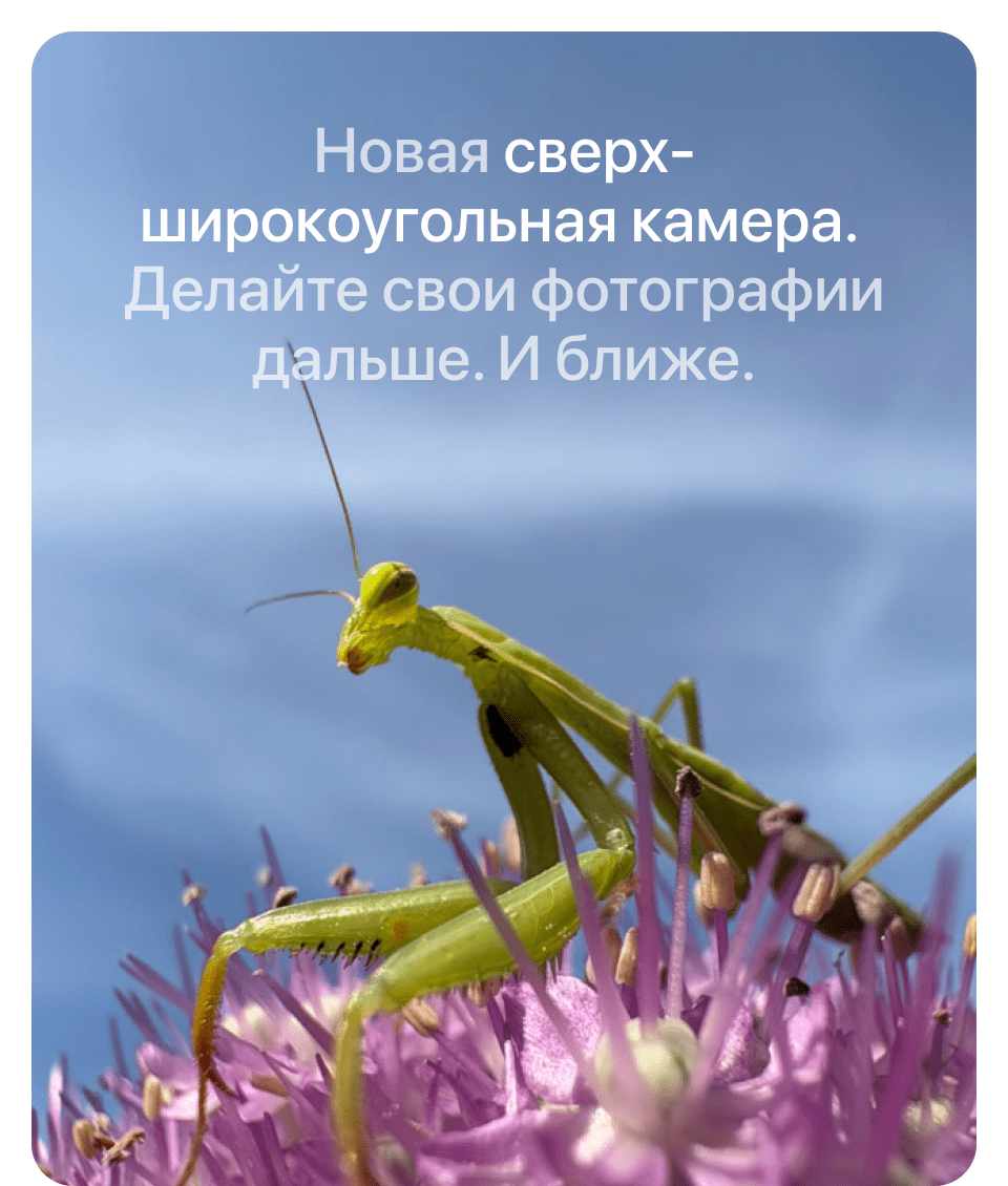 Apple iPhone 16 Plus SIM + eSIM, 512 Гб, Бирюзовый (Без RuStore) - 12