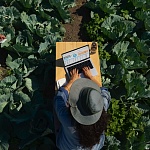 Apple MacBook Pro 14" (M4 Max, 2024), 36 ГБ/1 Тб, Чёрный космос