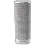 Беспроводная акустика Harman Kardon Citation Surround, Grey