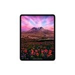 Apple iPad Pro M5 (2025) 11" дюймов, wi-fi, 2 Тб, Серебро (Без RuStore)